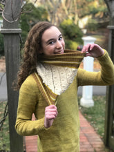 Load image into Gallery viewer, For the BRDS