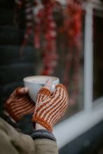 Load image into Gallery viewer, Hudson Mitts