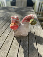 Load image into Gallery viewer, Jester in Training